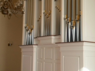 organ4